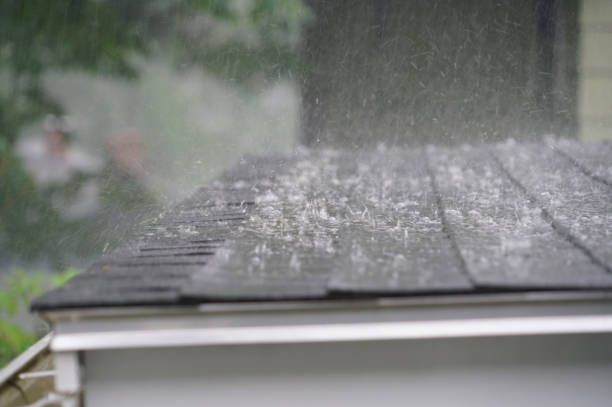 Best Roof Coating and Sealing  in Detroit, MI