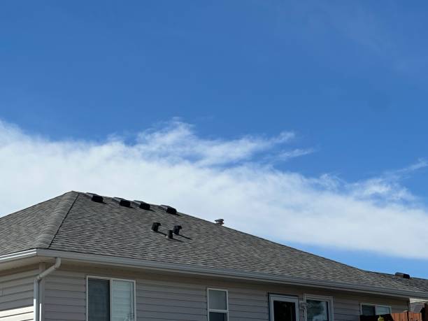 Best Commercial Roofing Services  in Detroit, MI